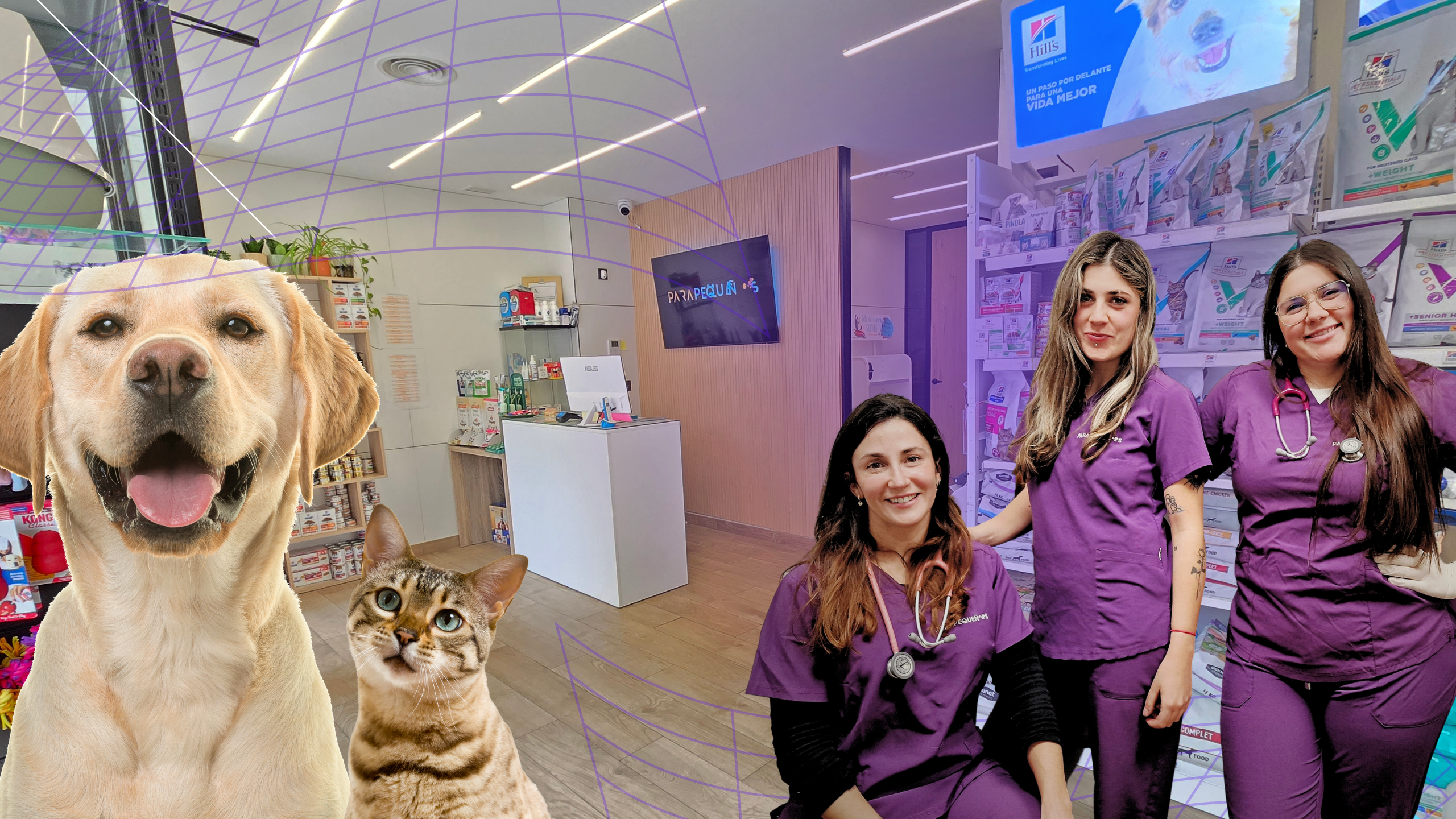 Veterinary care