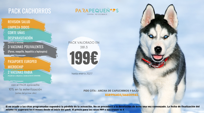 Pack Cachorros