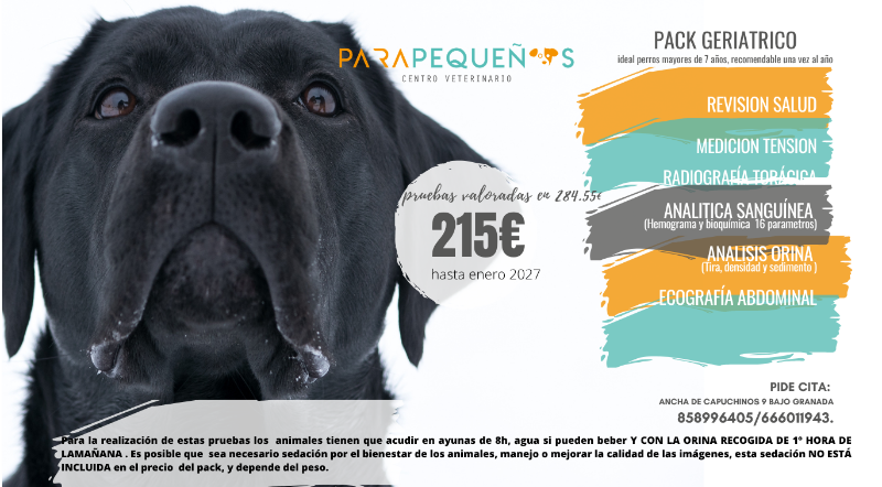 Pack Geriátrico