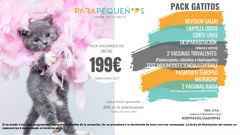Pack Gatitios